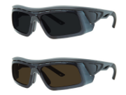 Sunglasses with Polarized Lenses