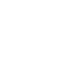 Lined Bifocal Lenses